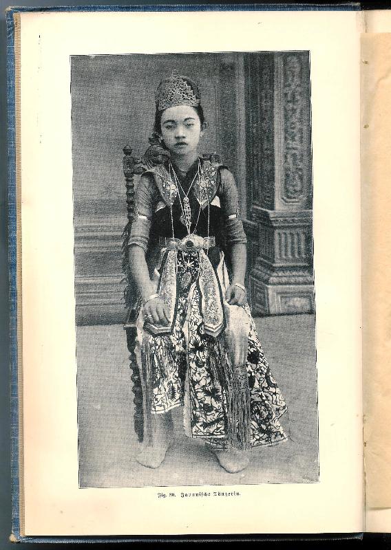 Aus Insulinde. Malayische Reisebriefe.