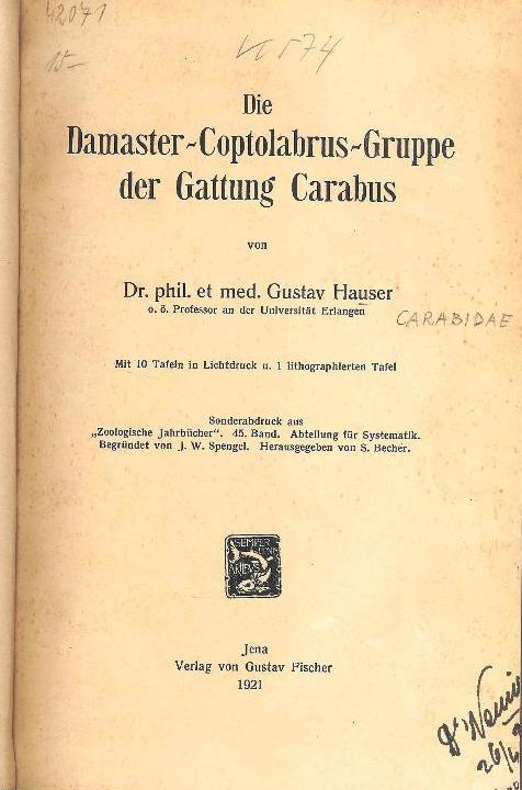 Die Damaster-Coptolabrus-Gruppe der Gattung Carabus.