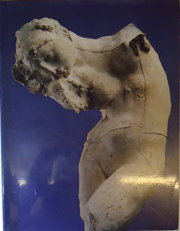 RODIN Rediscovered. With contributions by Albert Alhadeff, Ruth Butler, Jean Chatelain, Albert E. Elsen, Sidney Geist, etc.