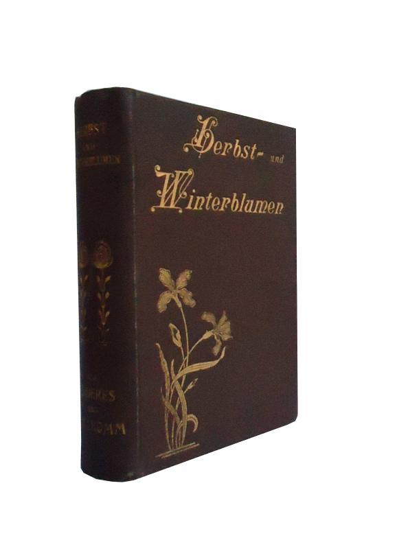 Herbst- und Winterblumen. Eine Schilderunge der heimischen Blumenwelt.