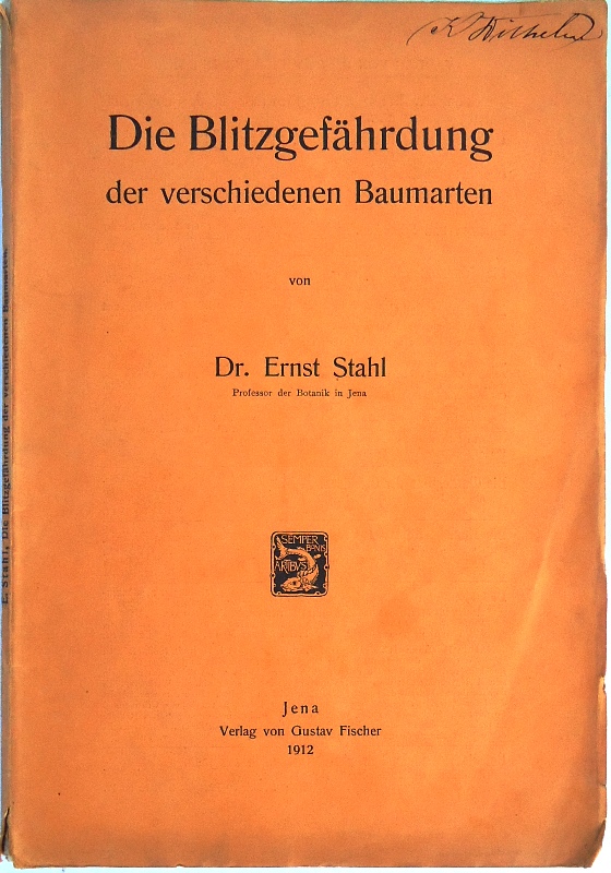 Die Blitzgefährdung d. verschiedenen Baumarten.