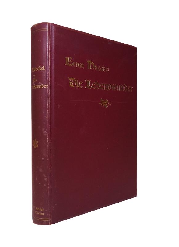 Die Lebenswunder. Gemeinverständliche Studien über Biologische Philosophie. Ergänzungsband zu dem Buche über die Welträtsel. 11. Tsd.