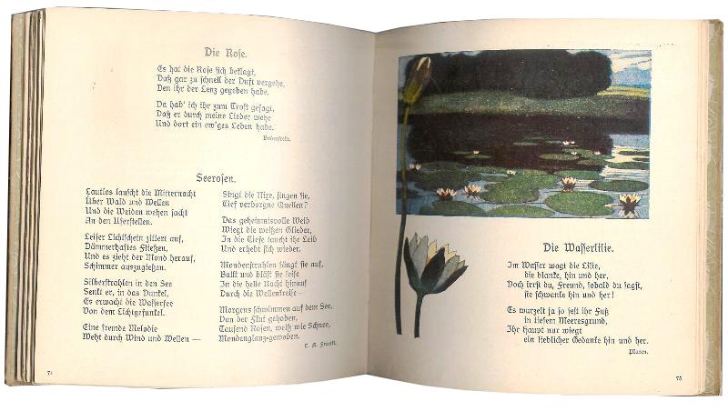 Die Blume im Lied. Texte gesichtet von Hans Fraungruber. Bilder von Ludwig Sieck.